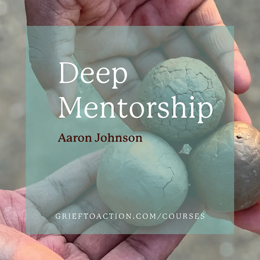 deep mentorship holistic resistance grief to action course
